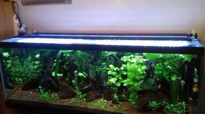 AKVARIUM  300L+ 576L  DIVERSA OBĚ