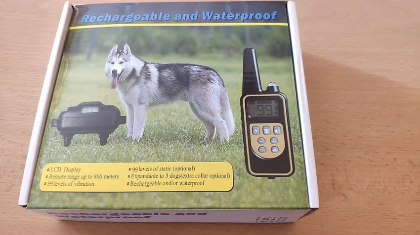 výcvikový obojek