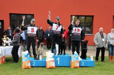 Prodám německý ovčák štěňata černá z pp