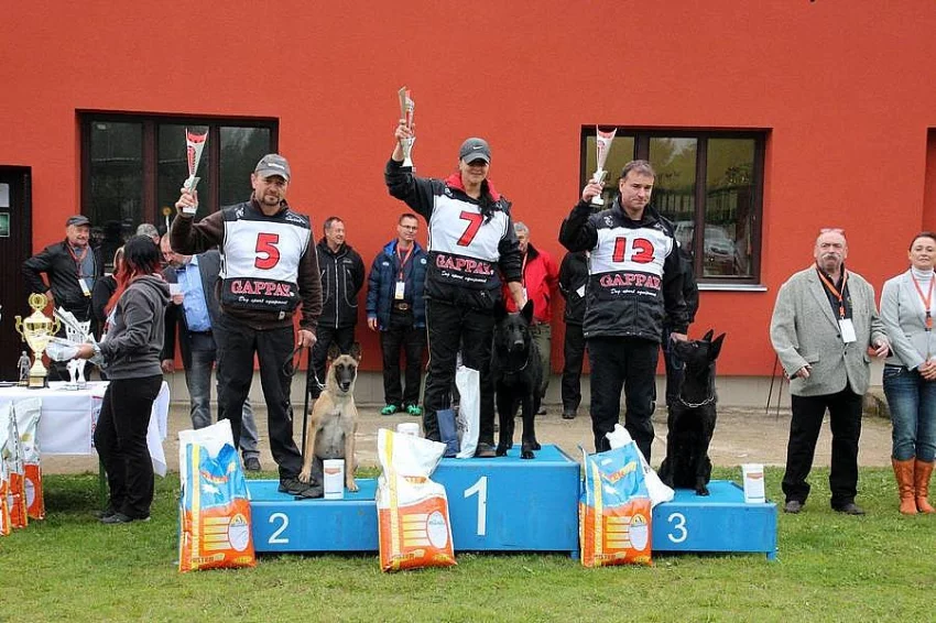 Prodám německý ovčák štěňata černá z pp