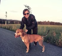 Americký Pitbullteriér s PP