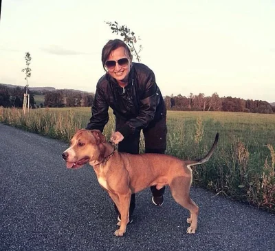 Americký Pitbullteriér s PP