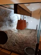 teraruim více účelné