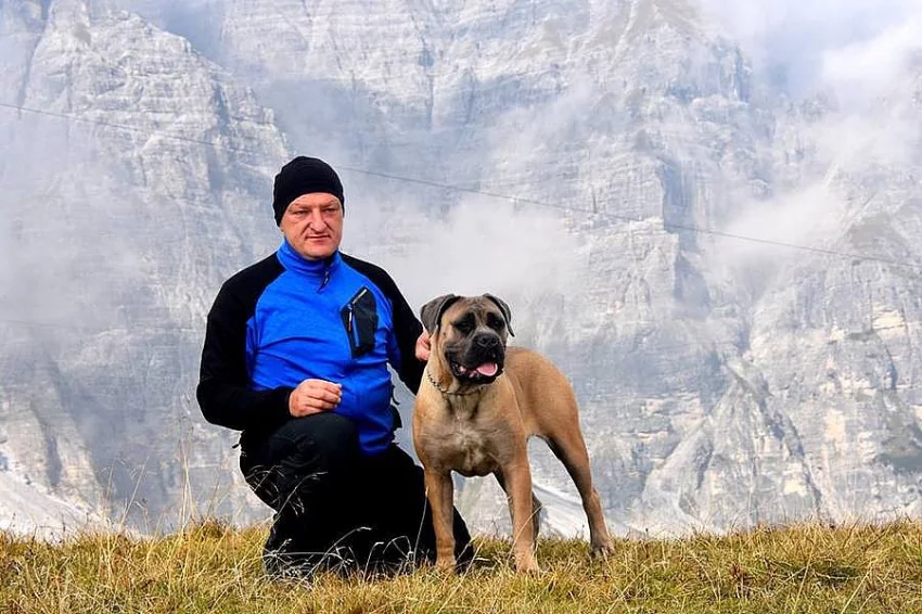 Cane Corso s PP