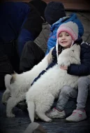 Pyrenejský horský pes s PP
