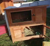 2 králíky, 2 klece, 1 venkovní klec ZDARMA