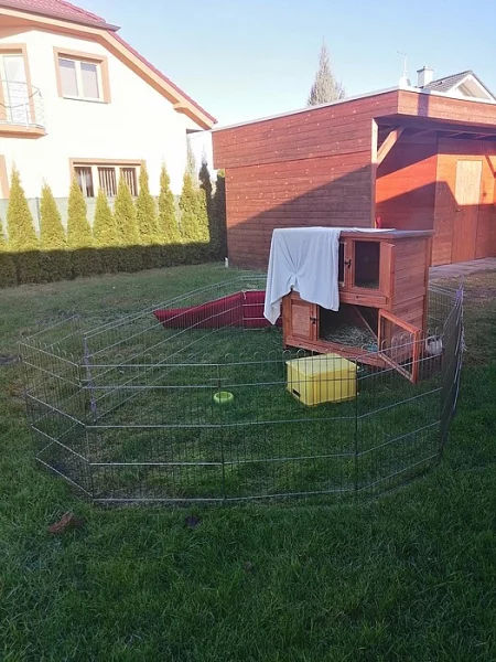 2 králíky, 2 klece, 1 venkovní klec ZDARMA