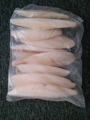 Sépiové kosti