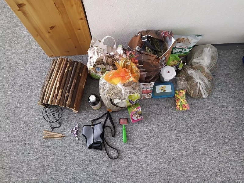 Prodám králíka s klecí a veškerým vybavením
