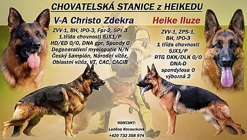 Německý ovčák s PP