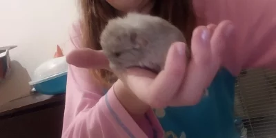 Mláďata