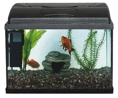 Akvarijní set PACIFIC 40 cm (18l), s výbavou