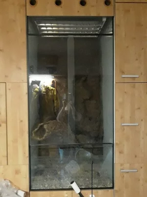 Paludarium-terárium