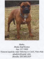 STB: APOLLÓN NADEPA s PP, 7let