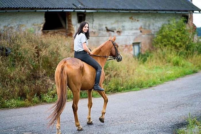 půjčím koně