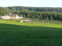 Bažant obecný, královský, perlička kropenatá, krocan divoký