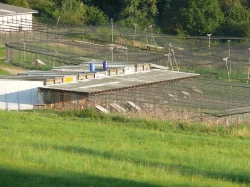 Bažant obecný, královský, perlička kropenatá, krocan divoký
