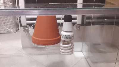Terárium pro suchozemské želvy a jiná zvířata