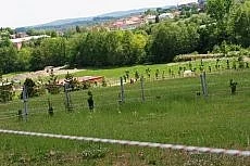 Pastevní ustájení ve Ptení u Prostějova
