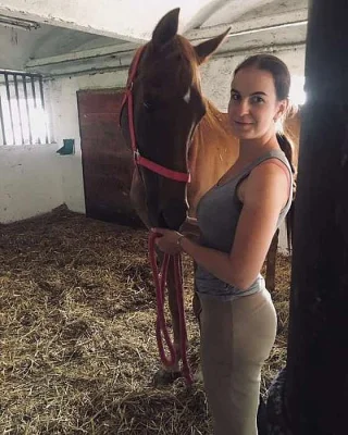 nabízím k pronájmu(za půjčení, ne ustájení) valacha
