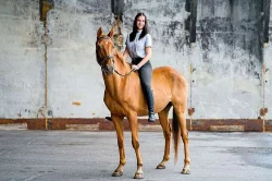 nabízím k pronájmu(za půjčení, ne ustájení) valacha