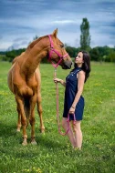 nabízím k pronájmu(za půjčení, ne ustájení) valacha