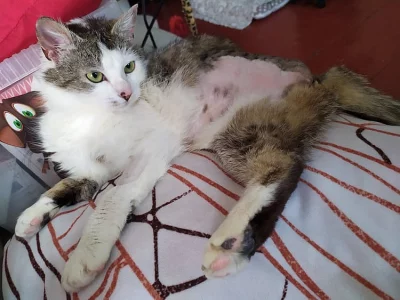 Handicapovaný Davídek s krutým osudem hledá hodné páníčky