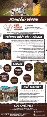 Individuální výcvik