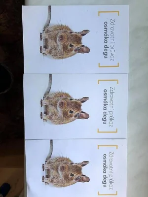 Osmáci degu s klecí, krmivem nebo pouze klec s krmivem