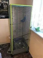 Osmáci degu s klecí, krmivem nebo pouze klec s krmivem