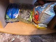 Osmáci degu s klecí, krmivem nebo pouze klec s krmivem