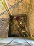 Osmáci degu s klecí, krmivem nebo pouze klec s krmivem