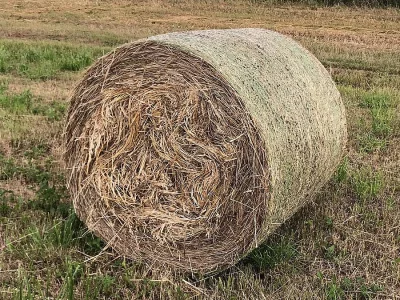 Letošní seno, kulaté balíky v síti 140cm