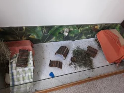 Klec / kotec / výběh pro morčata a jiné
