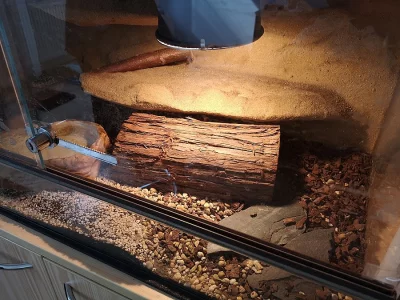 Prodám terárium a veškeré vybavení