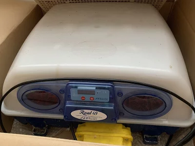 Líheň - Real 49 Incubatrici Borotto