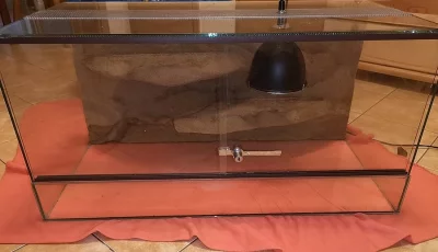 Prodám terárium 80x40x40 + vybavení