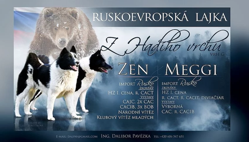 Ruskoevropská lajka