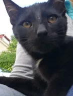 Do dobrých rukou zdarma darujeme