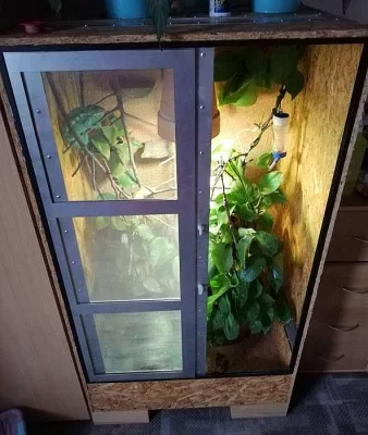 PRODAM TERARIUM