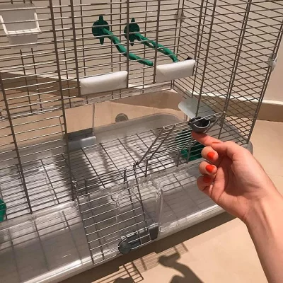 Prodáme ptačí klec