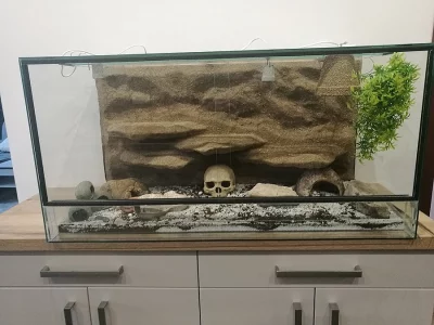 Terárium