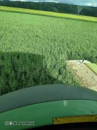 Senáž s ovsa s podsevem jetele - PO EZ