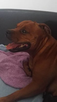 Předběžné rezervace