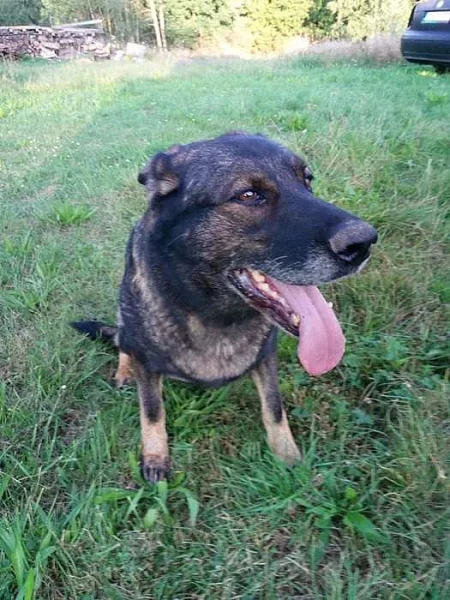 Daruji fenku 8 letou, z rodinných důvodu