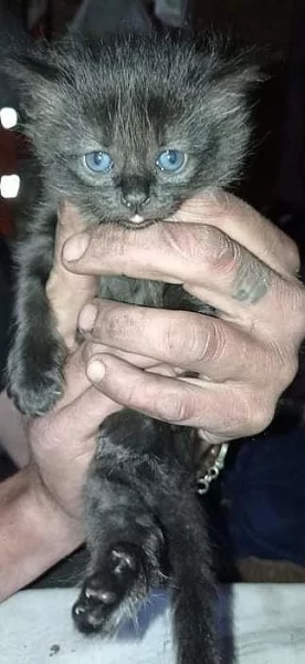 Z nevhodných podmínek