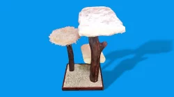 Malý kočičí strom