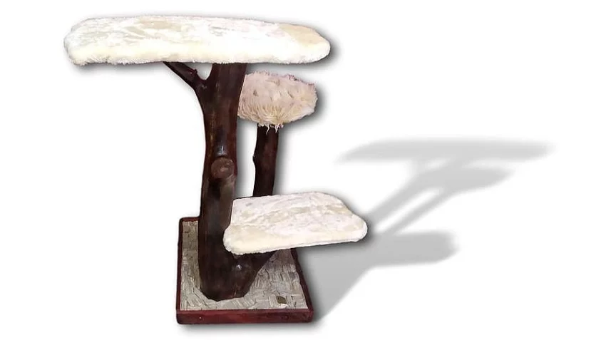 Malý kočičí strom