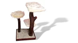 Malý kočičí strom