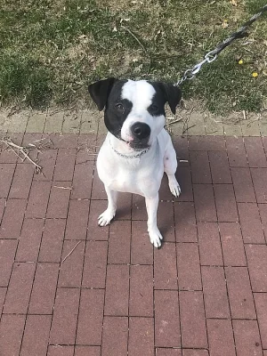 Daruji do dobrých rukou